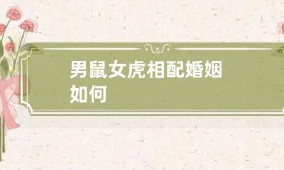 男鼠女虎相配婚姻如何