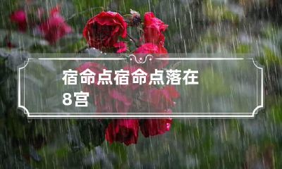 宿命点 宿命点落在8宫
