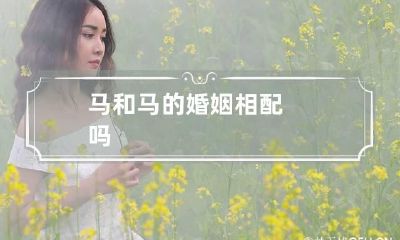马和马的婚姻相配吗