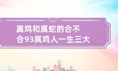 属鸡和属蛇的合不合 93属鸡人一生三大劫