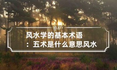 风水学的基本术语：五术是什么意思 风水学常用术语