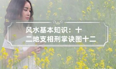 风水基本知识：十二地支相刑掌诀图 十二地支相刑相害图