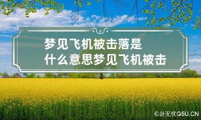 梦见飞机被击落是什么意思 梦见飞机被击落是什么意思周公解梦