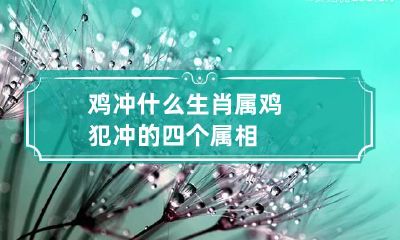鸡冲什么生肖 属鸡犯冲的四个属相