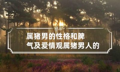 属猪男的性格和脾气及爱情观 属猪男人的性格和脾气怎么样