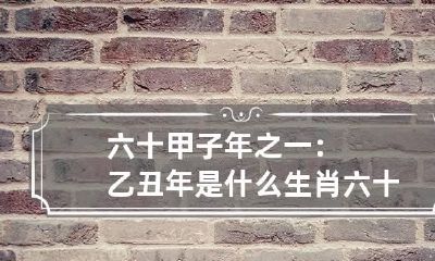 六十甲子年之一：乙丑年是什么生肖 六十甲子乙酉年