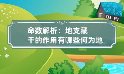 命数解析：地支藏干的作用有哪些 何为地支藏干
