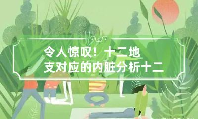 令人惊叹！十二地支对应的内脏分析 十二地支对应五脏