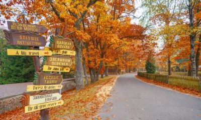 立秋节气出生的属猪人好不好？属猪立秋出生是什么命？