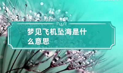 梦见飞机坠海是什么意思