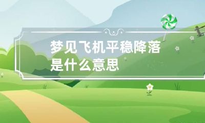 梦见飞机平稳降落是什么意思