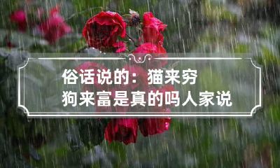 俗话说的：猫来穷狗来富是真的吗 人家说猫来穷狗来富是什么意思