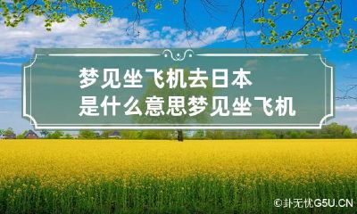 梦见坐飞机去日本是什么意思 梦见坐飞机去日本是什么意思周公解梦