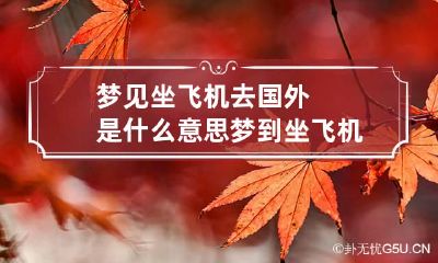 梦见坐飞机去国外是什么意思 梦到坐飞机去国外旅行是什么意思