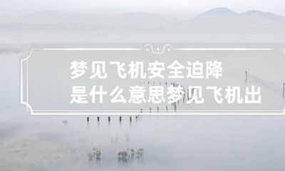 梦见飞机安全迫降是什么意思 梦见飞机出现故障但是平安迫降
