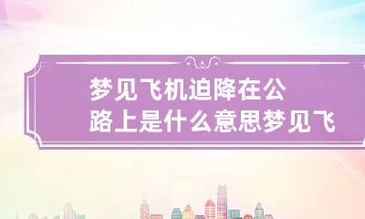 梦见飞机迫降在公路上是什么意思 梦见飞机迫降安全着陆