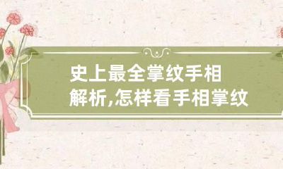 史上最全掌纹手相解析,怎样看手相掌纹纹线四