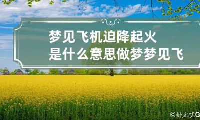 梦见飞机迫降起火是什么意思 做梦梦见飞机迫降成功