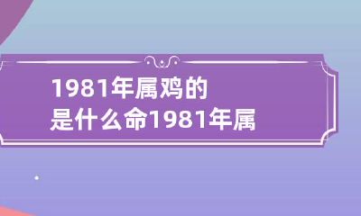 1981年属鸡的是什么命 1981年属鸡的是什么命金木水火土