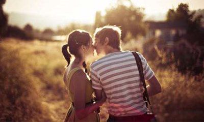 生肖猪与其他生肖感情契合度分析