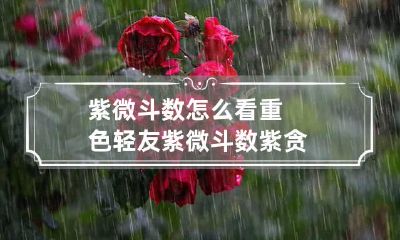 紫微斗数怎么看重色轻友 紫微斗数紫贪