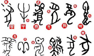 12生肖的感情运和财运哪个更旺