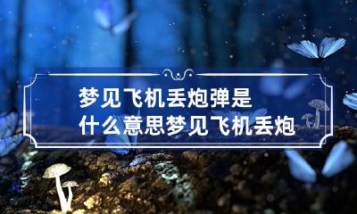 梦见飞机丢炮弹是什么意思 梦见飞机丢炮弹是什么意思周公解梦