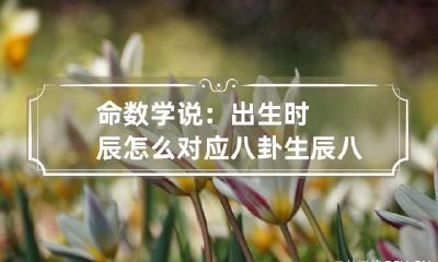命数学说：出生时辰怎么对应八卦 生辰八字怎么对应八卦