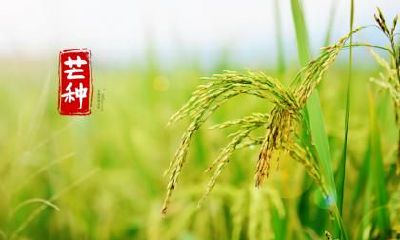 描写霜降的诗句大全,霜降节气的古诗词一览！