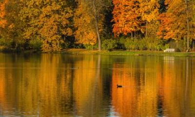 属鼠的在立秋出生命好吗，有福气吗？