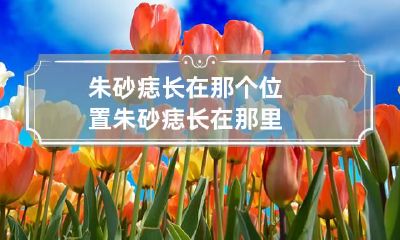 朱砂痣长在那个位置 朱砂痣长在那里?