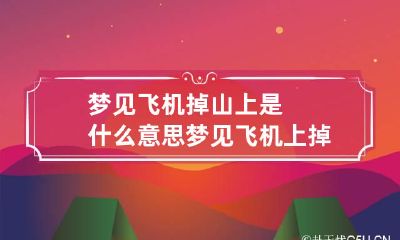 梦见飞机掉山上是什么意思 梦见飞机上掉下来