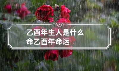 乙酉年生人是什么命 乙酉年命运