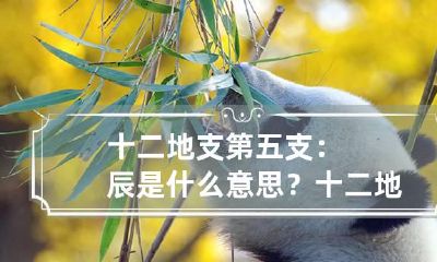 十二地支第五支：辰是什么意思？ 十二地支五行