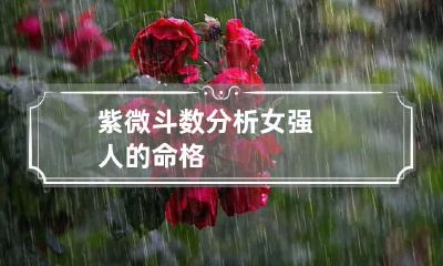 紫微斗数分析女强人的命格