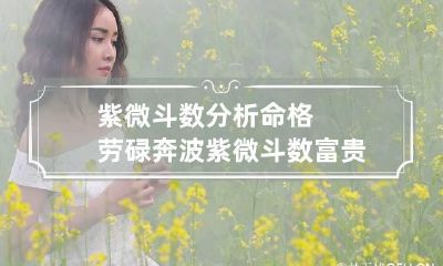 紫微斗数分析命格劳碌奔波 紫微斗数富贵命格