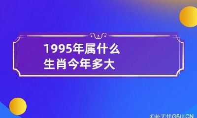 1995年属什么生肖今年多大