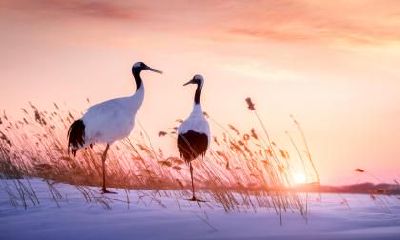 立秋节气有什么古诗？立秋有关的古诗词大全