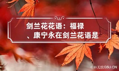 剑兰花花语：福禄、康宁永在 剑兰花语是什么语