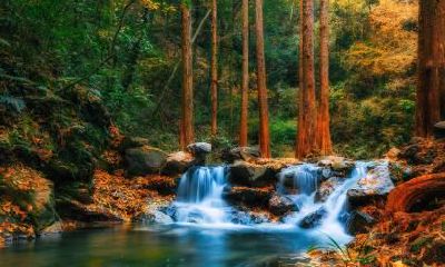 立秋如何养生？立秋饮食养生要注意什么？