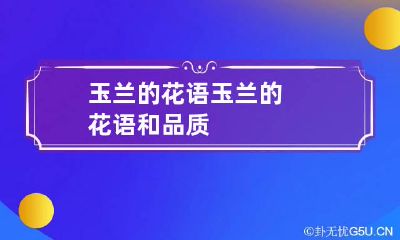 玉兰的花语 玉兰的花语和品质