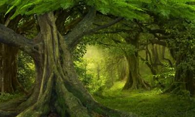 2020年秋分在几月几日几点几分？秋分后天气还热吗？