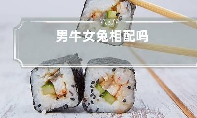 男牛女兔相配吗