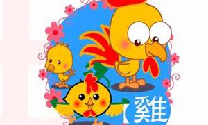 生肖鸡跟谁一起生活最幸福