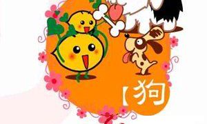 生肖狗跟谁一起生活最幸福