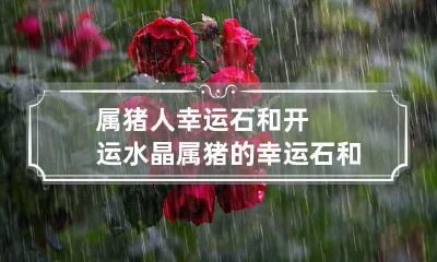 属猪人幸运石和开运水晶 属猪的幸运石和开运水晶