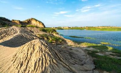 2019年农历十二月出生女宝宝五行缺木高雅有诗意起名