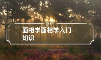面相学 面相学入门知识
