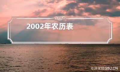 2002年农历表