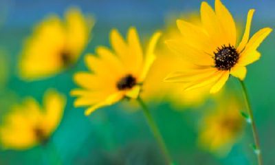 金牛座男生心疼你的表现